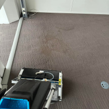 Nettoyage complet des moquettes dans la célèbre Tour Crayon à Lyon ! - 69003