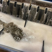 Nettoyage des moquettes en profondeur à Mâcon - 71000