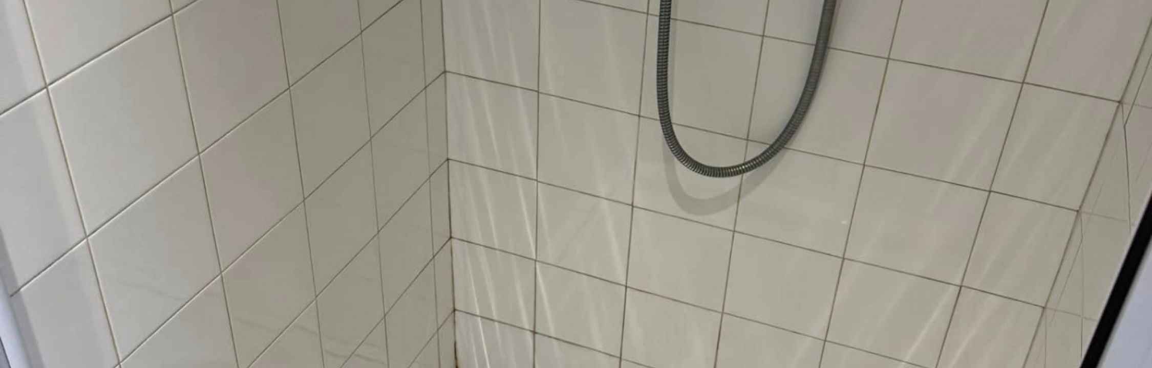 Nettoyage en profondeur des zones sanitaires d’une entreprise à Saint-Georges-de-Reneins - 69830