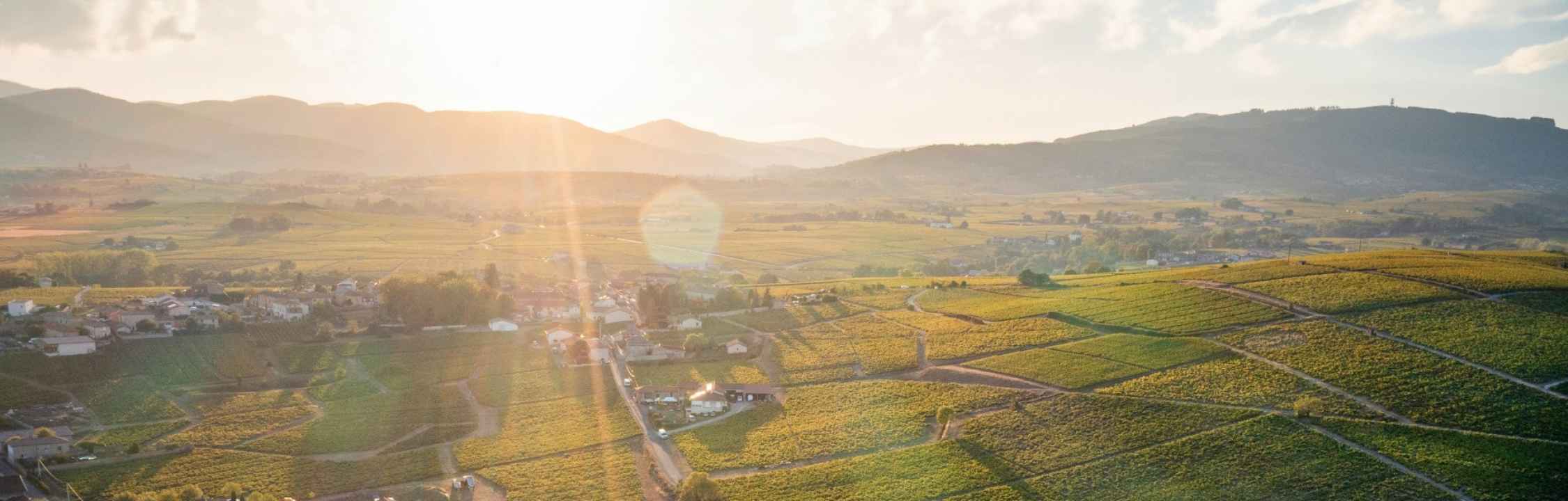 PMC Propreté - société de nettoyage en Beaujolais